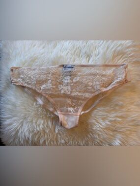 Dolce & Gabbana Underwear Panties Lingerie- light pink/nude mesh w lace. D&G.